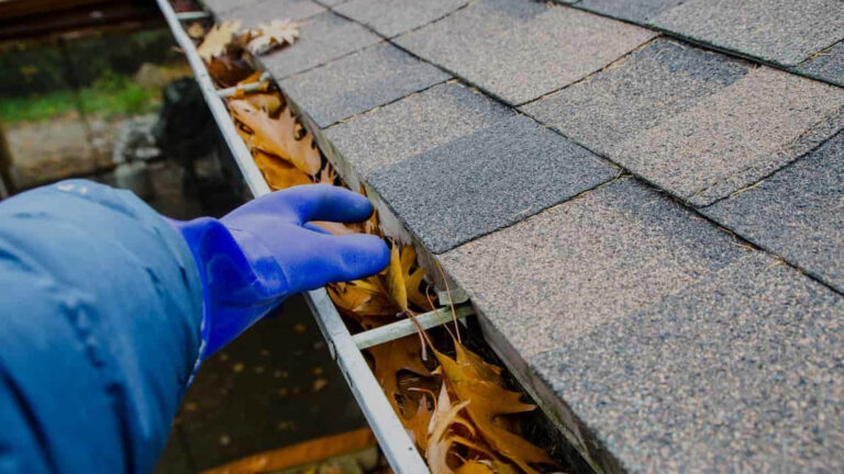 roof Gutter cleaning