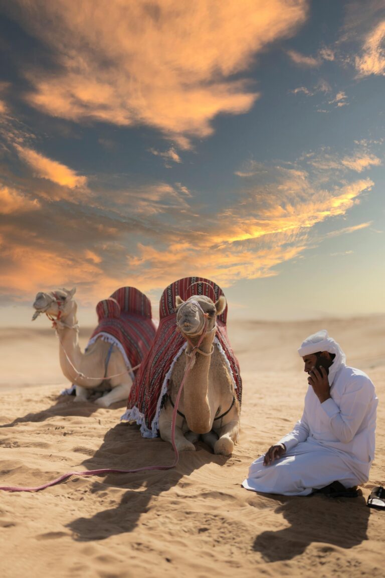 Camel in Desert