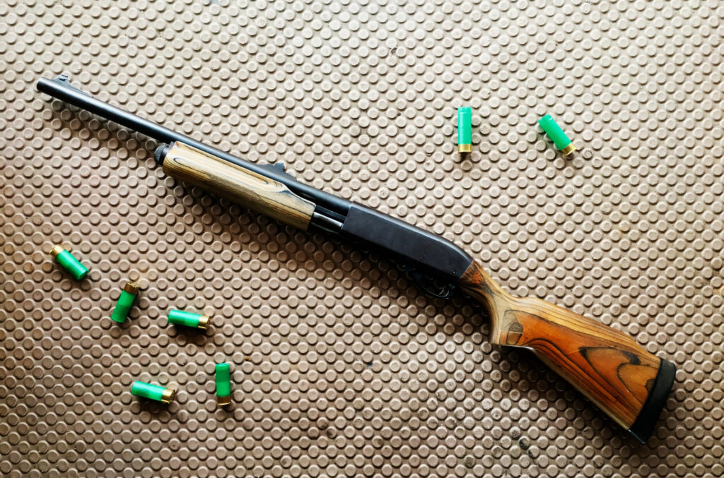Pellet Gun Bullets and the CZ Shadow 2: Precision Shooting for Sport and Skill