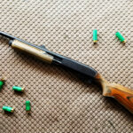 Pellet Gun Bullets and the CZ Shadow 2: Precision Shooting for Sport and Skill