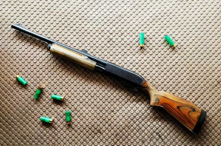 Pellet Gun Bullets and the CZ Shadow 2: Precision Shooting for Sport and Skill