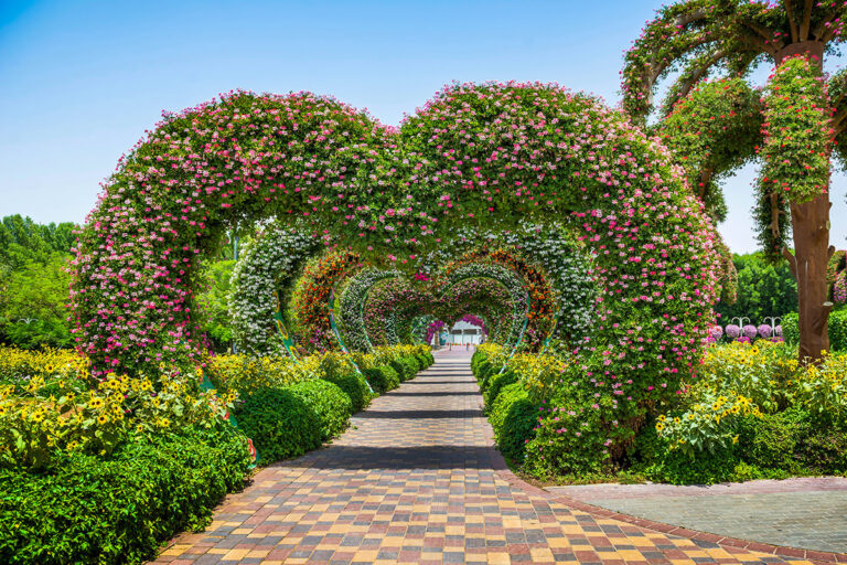 Kingdom/Pakistan