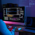 hire dedicated wordpress developer