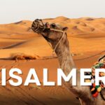 Jaisalmer Camel Safari Tours for Real Desert Adventure