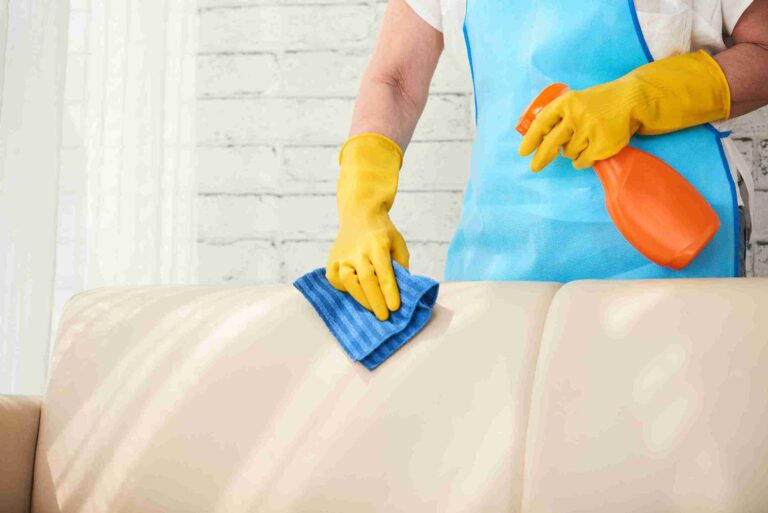 Sofa Cleaning Services
