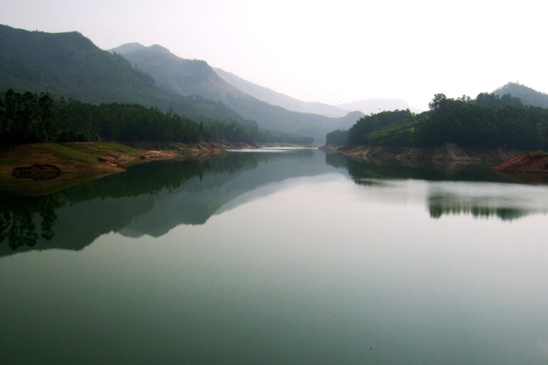 6 Days Kochi Munnar Thekkady Alleppey Tour