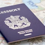 Fake Passports