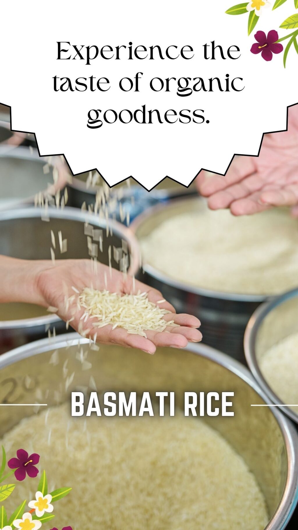 rice exporters in india