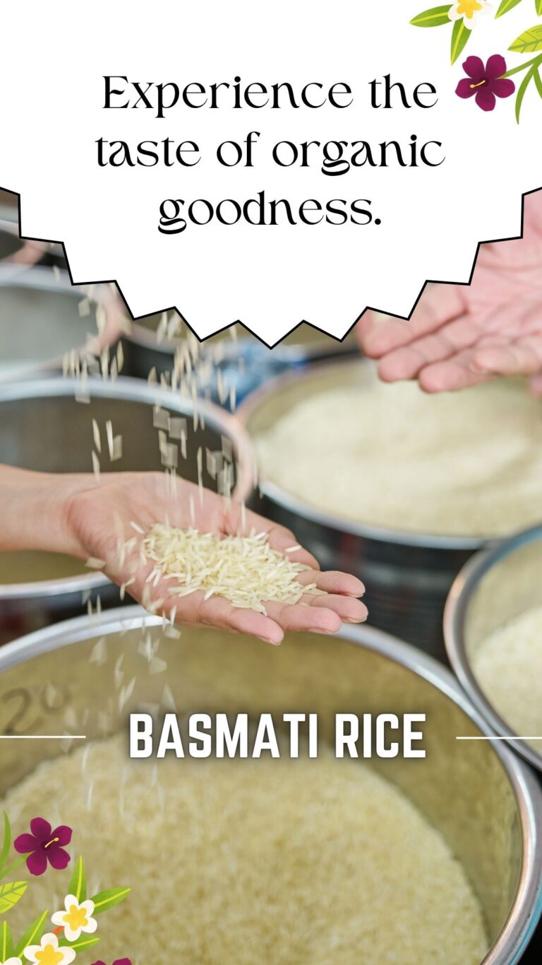 rice exporters in india